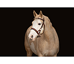 Sidepull Rawhide
