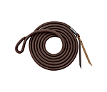 Longhina con passante