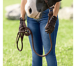 Longhina con passante