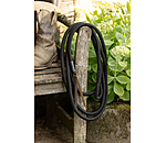 Longhina con passante