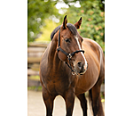 Capezza in corda hybrid