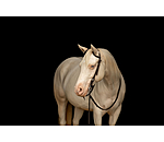 Testiera a due orecchie Leaves