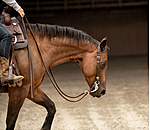 Testiera a due orecchie Leaves