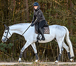 Sottosella Sparkling II