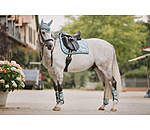 Sottosella Swiss Design