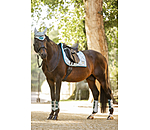 Sottosella Swiss Design