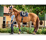 Sottosella Swiss Design