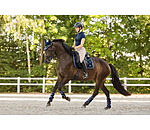 Sottosella Swiss Design