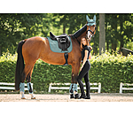 Sottosella Mesh-Technology