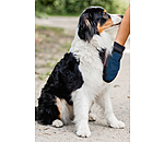 Guanto da massaggio e grooming per cani