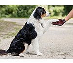 Guanto da massaggio e grooming per cani