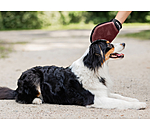 Guanto da massaggio e grooming per cani