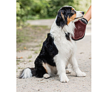 Guanto da massaggio e grooming per cani