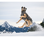 Cappotto invernale per cani Eddie con pile, 200 g