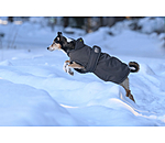 Cappotto invernale per cani Eddie con pile, 200 g