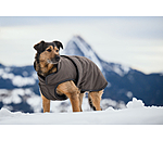 Cappotto invernale per cani Eddie con pile, 200 g