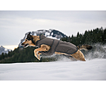 Cappotto invernale per cani Eddie con pile, 200 g