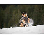 Cappotto invernale per cani Eddie con pile, 200 g