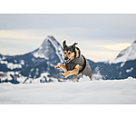 Cappotto invernale per cani Eddie con pile, 200 g