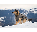 Cappotto invernale per cani Eddie con pile, 200 g