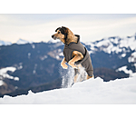 Cappotto invernale per cani Eddie con pile, 200 g