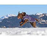 Cappotto invernale per cani con pile Eddie, 200 g