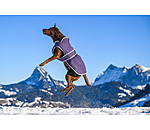 Cappotto invernale per cani con pile Eddie, 200 g