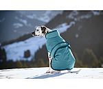 Cappotto invernale per cani Eddie con pile, 200 g