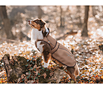 Cappotto per cani in nylon 2 in 1 Ally