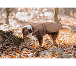Cappotto per cani in nylon 2 in 1 Ally