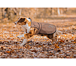 Cappotto per cani in nylon 2 in 1 Ally