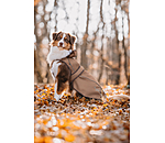 Cappotto per cani in nylon 2 in 1 Ally