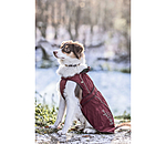 Cappotto per cani in nylon 2 in 1 Ally