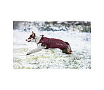 Cappotto per cani in nylon 2 in 1 Ally