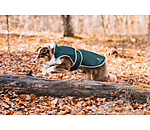 Impermeabile per cani con pile Eldoro II, 0 g