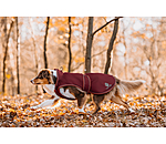 Impermeabile per cani con pile Eldoro II, 0 g