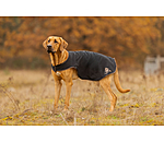 Impermeabile per cani con pile Eldoro II, 0 g