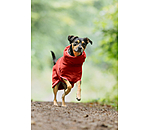 Accappatoio per cani Dry Dog II