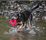 Giocattolo per cani Mia