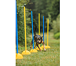 Bastoni agility