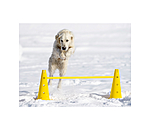 Bastoni agility