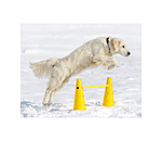 Coni agility