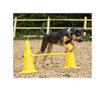 Coni agility