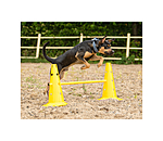 Coni agility