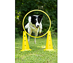 Coni agility