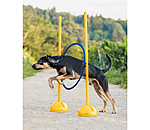 Cerchio agility