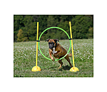 Cerchio agility