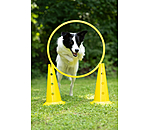 Cerchio agility