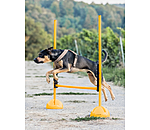 Sostegno per bastoni agility