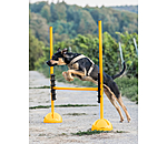 Sostegno per bastoni agility